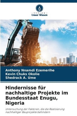 bokomslag Hindernisse für nachhaltige Projekte im Bundesstaat Enugu, Nigeria