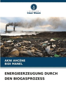 Akni Ahcène, Bidi Manel, AKNI AHCÈNE, BIDI MANEL - Energieerzeugung Durch Den Biogasprozess, Häftad