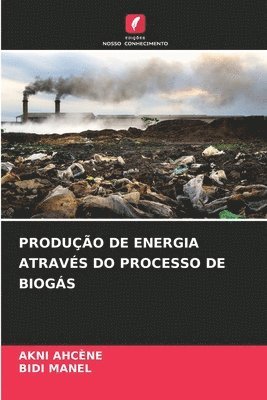 bokomslag Produção de Energia Através Do Processo de Biogás