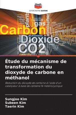 bokomslag Étude du mécanisme de transformation du dioxyde de carbone en méthanol