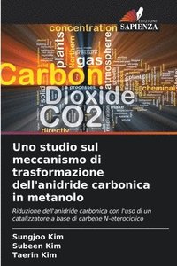 bokomslag Uno studio sul meccanismo di trasformazione dell'anidride carbonica in metanolo