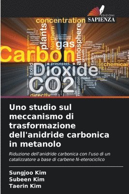 bokomslag Uno studio sul meccanismo di trasformazione dell'anidride carbonica in metanolo