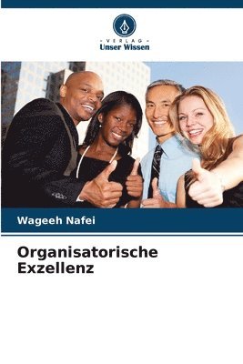 bokomslag Organisatorische Exzellenz