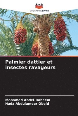 Palmier dattier et insectes ravageurs 1