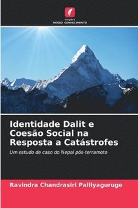 bokomslag Identidade Dalit e Coeso Social na Resposta a Catstrofes