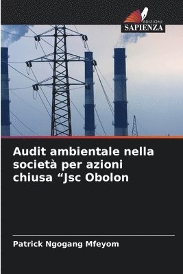 bokomslag Audit ambientale nella società per azioni chiusa "Jsc Obolon