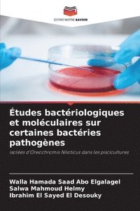 bokomslag Études bactériologiques et moléculaires sur certaines bactéries pathogènes