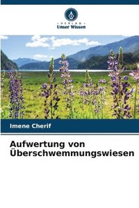 bokomslag Aufwertung von Überschwemmungswiesen
