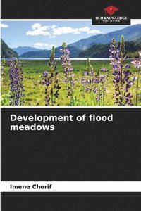 bokomslag Development of flood meadows