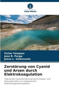 bokomslag Zerstörung von Cyanid und Arsen durch Elektrokoagulation