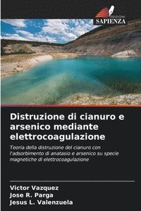 bokomslag Distruzione di cianuro e arsenico mediante elettrocoagulazione