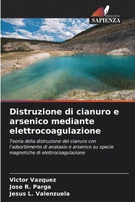 Distruzione di cianuro e arsenico mediante elettrocoagulazione