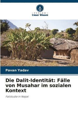 bokomslag Dalit-Identität