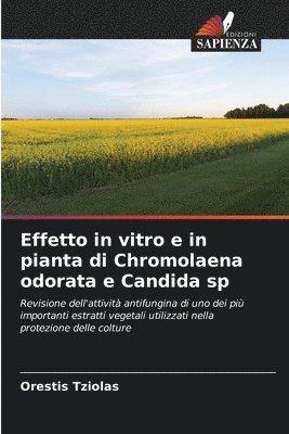 Effetto in vitro e in pianta di Chromolaena odorata e Candida sp 1