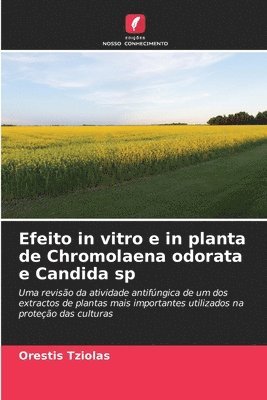 Efeito in vitro e in planta de Chromolaena odorata e Candida sp 1