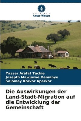 Auswirkungen der Land-Stadt-Migration auf die Entwicklung der Gemeinschaft
