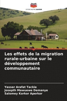 Les effets de la migration rurale-urbaine sur le développement communautaire