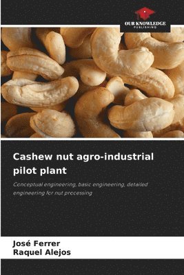 bokomslag Cashew nut agro-industrial pilot plant