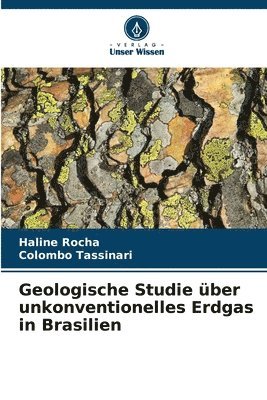 bokomslag Geologische Studie ber unkonventionelles Erdgas in Brasilien