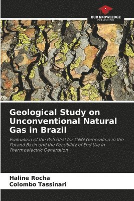 bokomslag Geological Study on Unconventional Natural Gas in Brazil