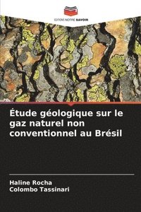 bokomslag tude gologique sur le gaz naturel non conventionnel au Brsil