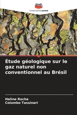 bokomslag tude gologique sur le gaz naturel non conventionnel au Brsil