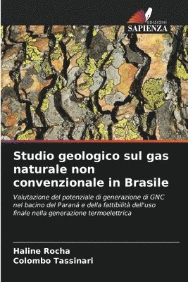 bokomslag Studio geologico sul gas naturale non convenzionale in Brasile