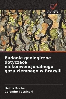 bokomslag Badanie geologiczne dotycz&#261;ce niekonwencjonalnego gazu ziemnego w Brazylii