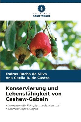 Konservierung und Lebensfähigkeit von Cashew-Gabeln