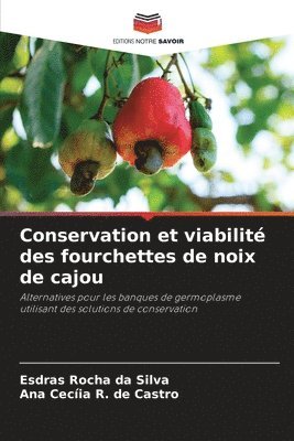 bokomslag Conservation et viabilit des fourchettes de noix de cajou