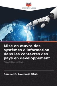 bokomslag Mise en oeuvre des systmes d'information dans les contextes des pays en dveloppement