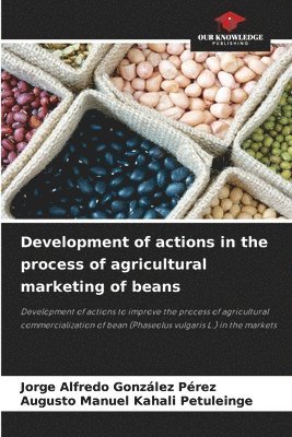 bokomslag Development of actions in the process of agricultural marketing of beans