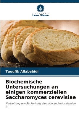 bokomslag Biochemische Untersuchungen an einigen kommerziellen Saccharomyces cerevisiae