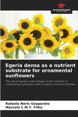 Egeria densa as a nutrient substrate for ornamental sunflowers
