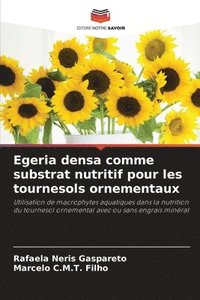 bokomslag Egeria densa comme substrat nutritif pour les tournesols ornementaux