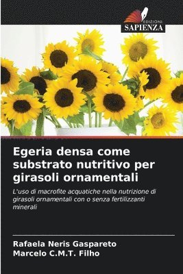 Egeria densa come substrato nutritivo per girasoli ornamentali 1