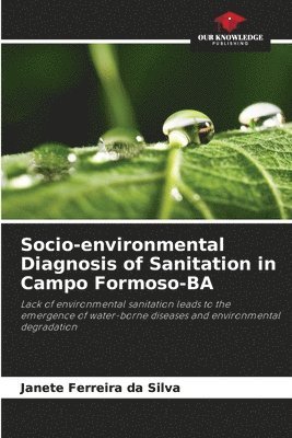 bokomslag Socio-environmental Diagnosis of Sanitation in Campo Formoso-BA