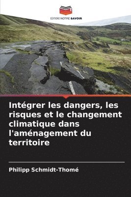 Philipp Schmidt-Thomé - Intégrer les dangers, les risques et le changement climatique dans l'aménagement du territoire, Häftad