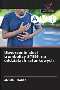 bokomslag Utworzenie sieci trombolizy STEMI na oddzialach ratunkowych