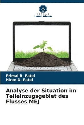 bokomslag Analyse der Situation im Teileinzugsgebiet des Flusses MEJ