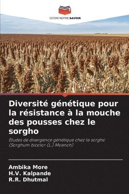 bokomslag Diversit gntique pour la rsistance  la mouche des pousses chez le sorgho