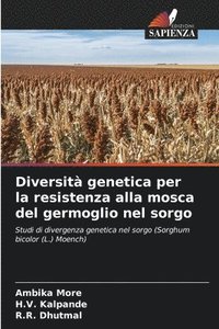 bokomslag Diversit genetica per la resistenza alla mosca del germoglio nel sorgo