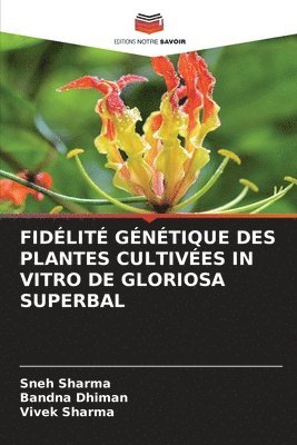 bokomslag Fidlit Gntique Des Plantes Cultives in Vitro de Gloriosa Superbal