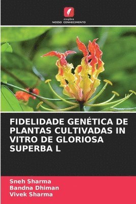 bokomslag Fidelidade Gentica de Plantas Cultivadas in Vitro de Gloriosa Superba L