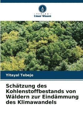 bokomslag Schtzung des Kohlenstoffbestands von Wldern zur Eindmmung des Klimawandels