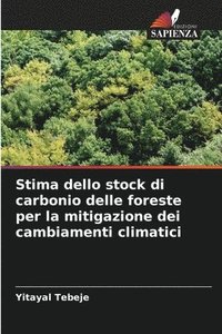 bokomslag Stima dello stock di carbonio delle foreste per la mitigazione dei cambiamenti climatici