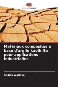 bokomslag Matériaux composites à base d'argile kaolinite pour applications industrielles