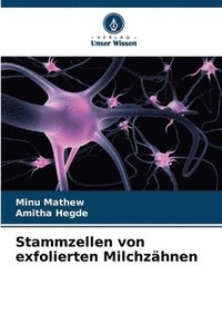 bokomslag Stammzellen von exfolierten Milchzähnen