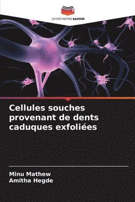 bokomslag Cellules souches provenant de dents caduques exfoliées