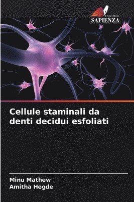 Cellule staminali da denti decidui esfoliati 1